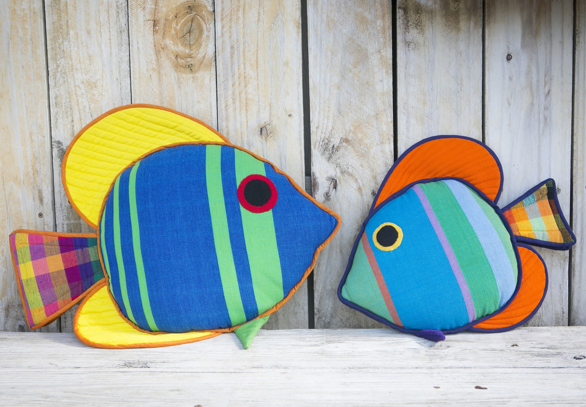 The Sail Fin Fish – Taking a break out of their day! (Henry shown in large size & Cooper in small size)
