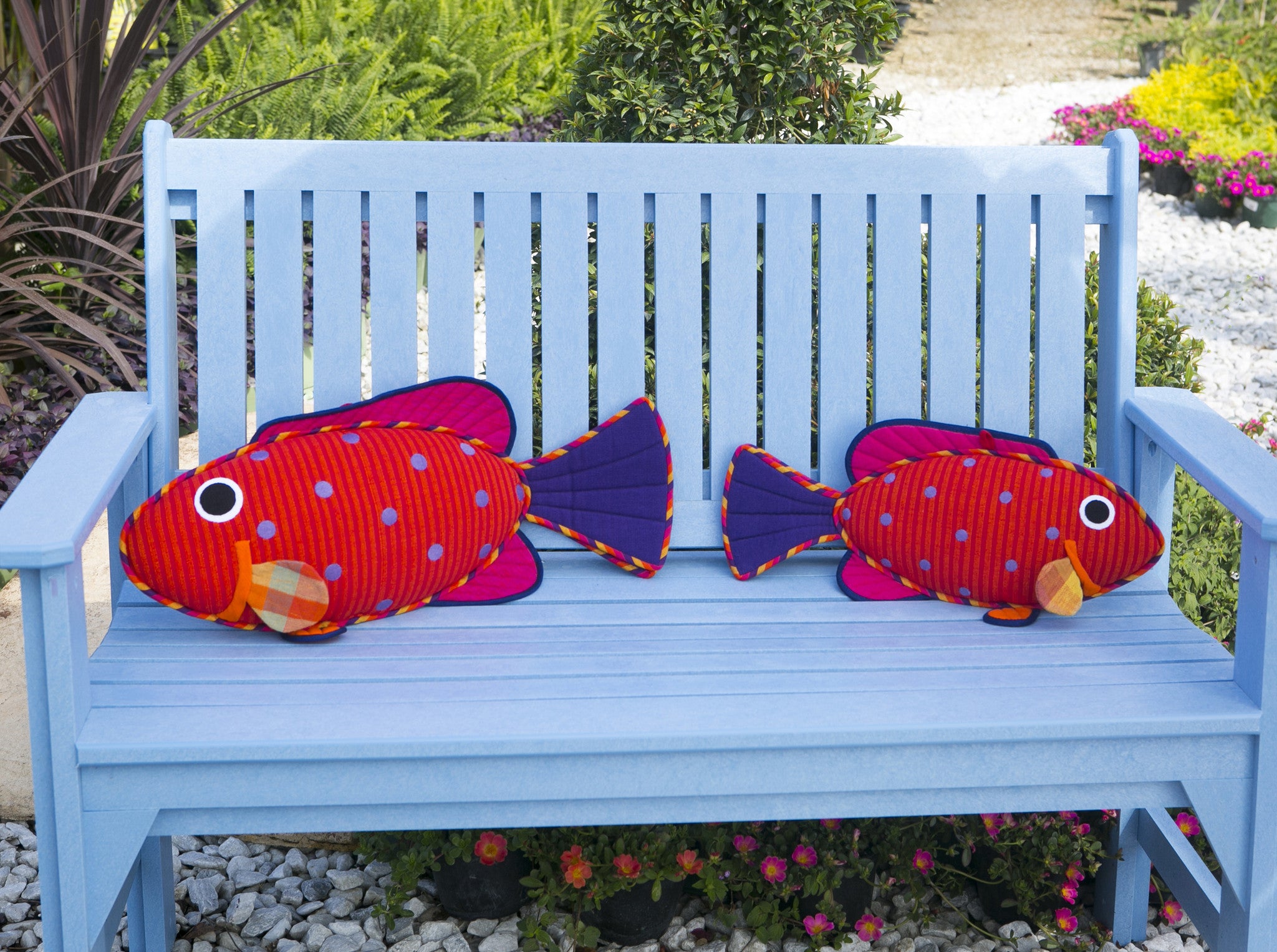 Emma, the Vermillion Rock Cod – Bursting with personality! (small & large sizes)