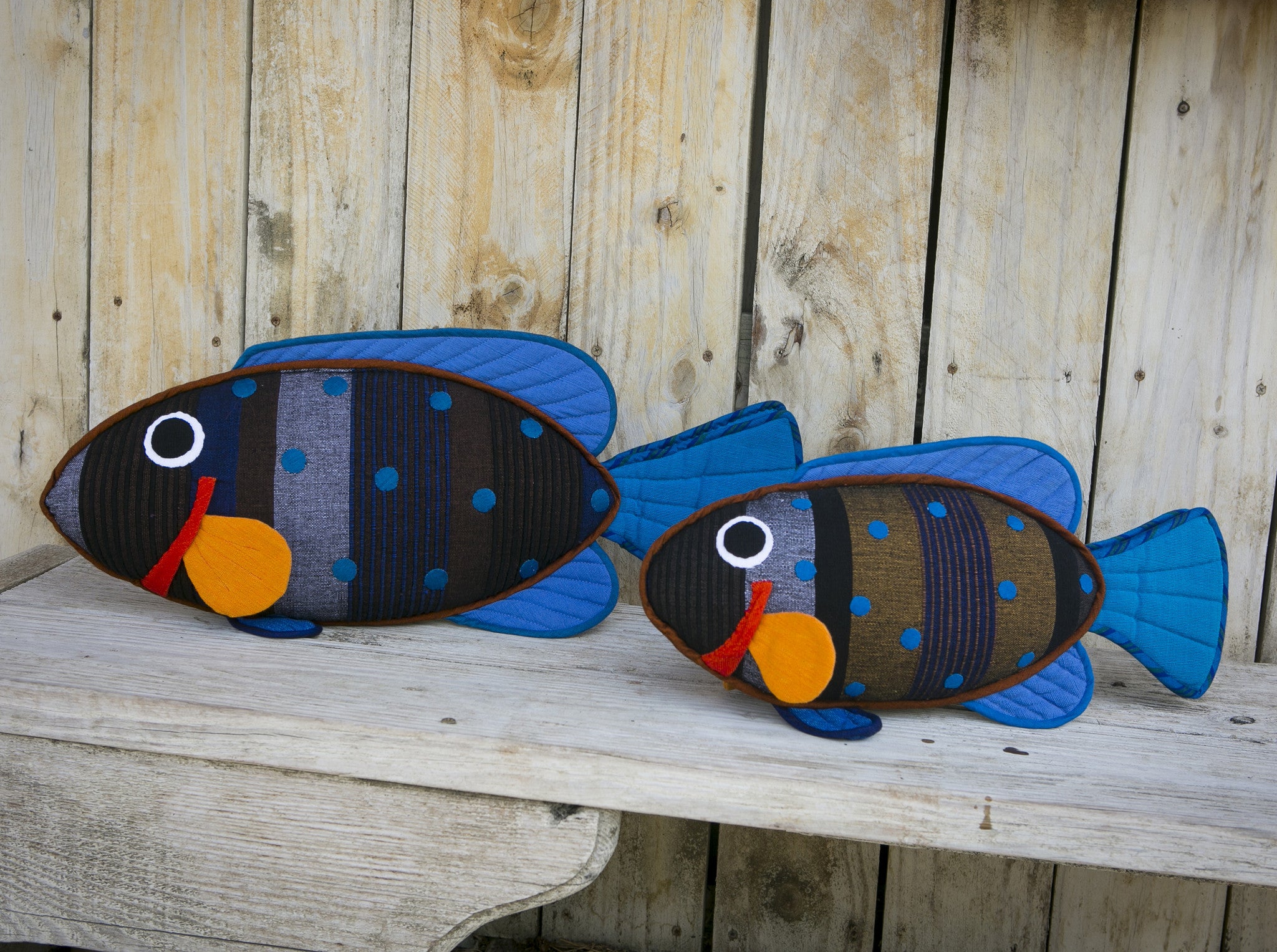 Willy, the Peacock Rock Cod – Relaxing on the bench! (small & large sizes)