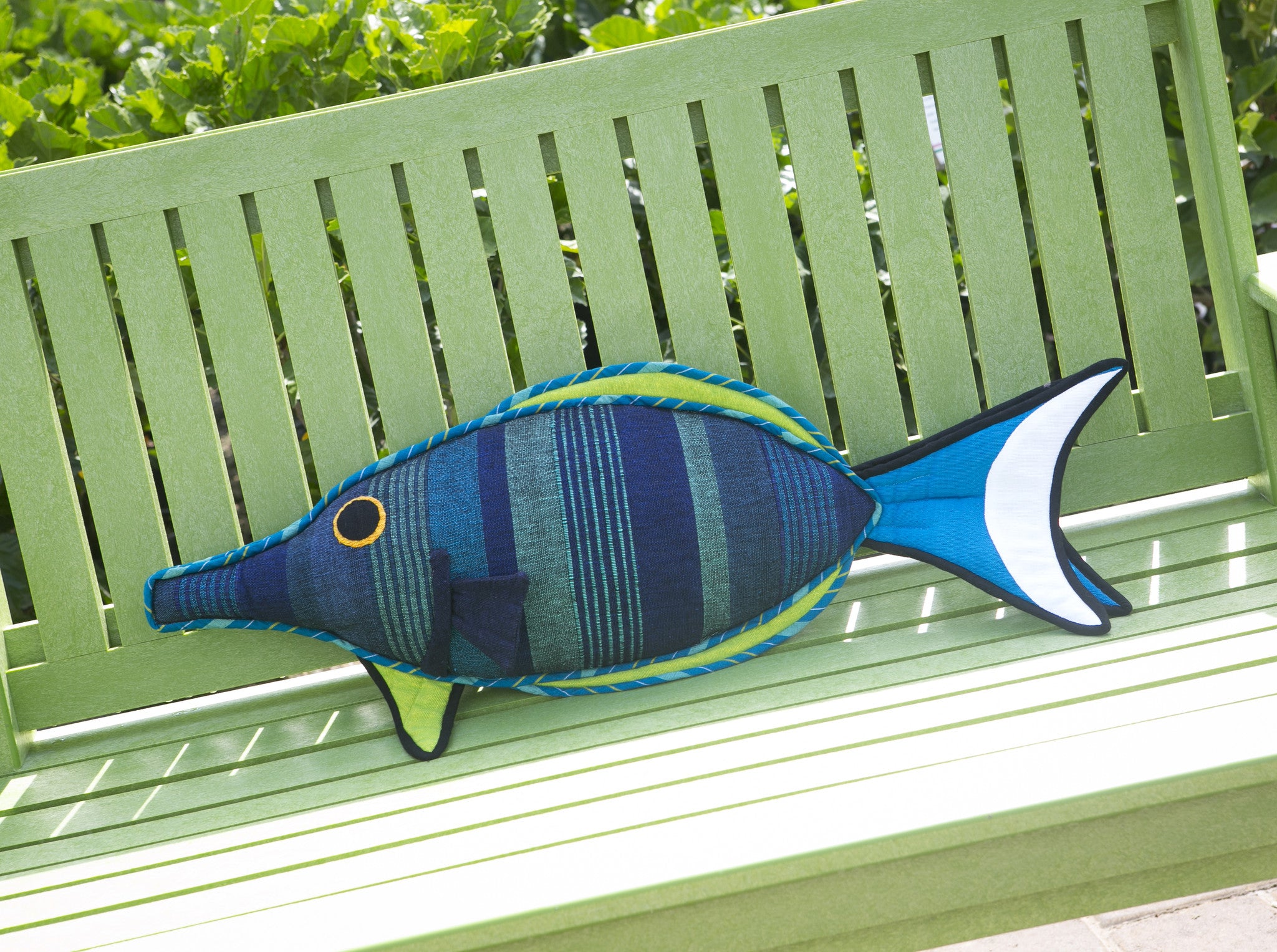 Fin, the Bird Wrasse Fish – Bursting with personality! (large size)